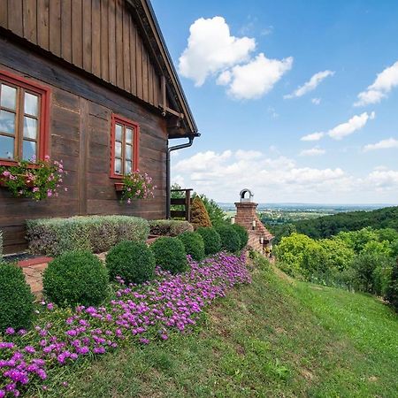 Villa Kuca Za Odmor Stara Hiza Selnica Exterior foto